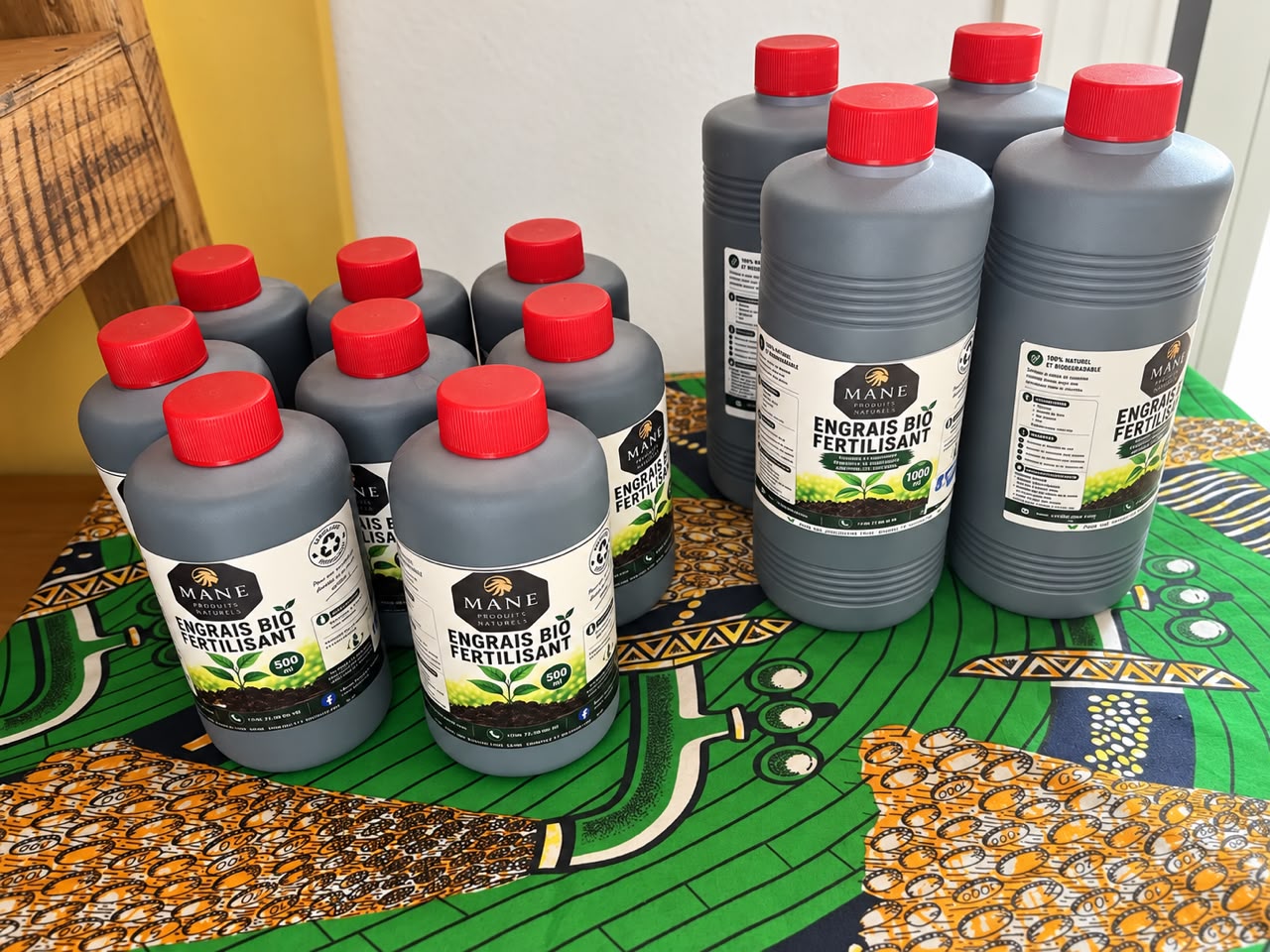 Une nouvelle vie pour vos plantes !